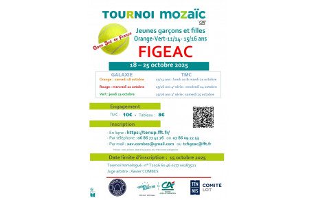 Tournoi Mozaïc